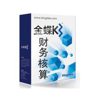 标准财务管理（会计核算）